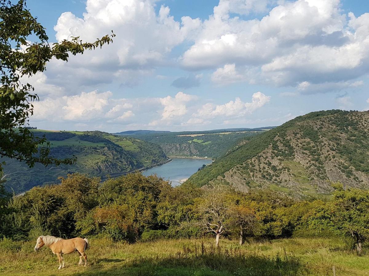 Rhine Pearl Hideaways Lägenhet Oberwesel Exteriör bild